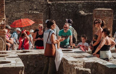 Tour para grupos pequenos por Pompeia e Herculano saindo de Roma
